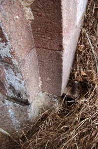 3. kurtīnlunetes poterna no citadeles puses. Foto M. Grunskis, 2012.03.24.
